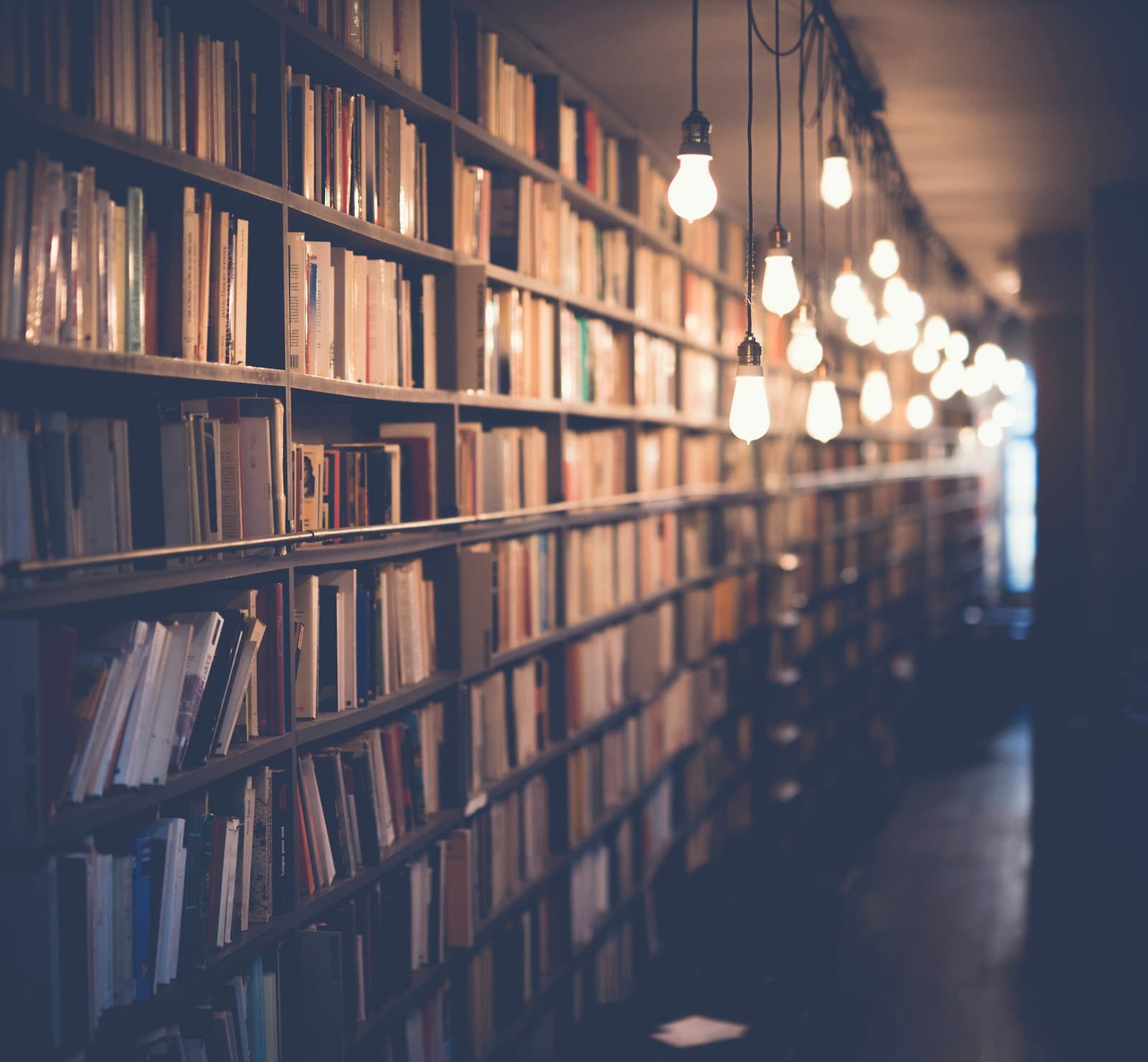 Business law and humanities